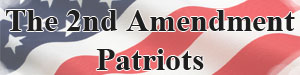 second amendment patriots logo